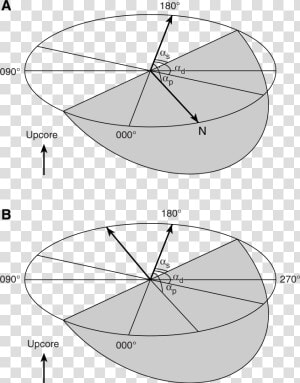 Trench Drawing Shepard   Circle  HD Png Download