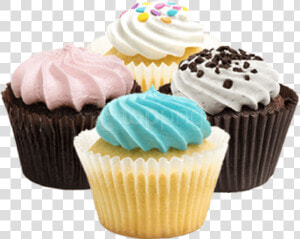 Mixed Dozen Box   Transparent Background Cupcake Png Transparent  Png Download