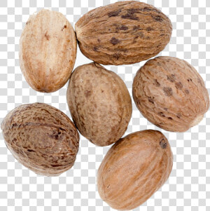 Transparent Nutmeg Png   Nut  Png Download