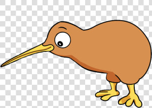 Cartoon Kiwi Bird Png pluspng   Kiwi Bird Clipart  Transparent Png