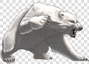 Angry White Bear Png Clipart   Angry Polar Bear Cartoon  Transparent Png