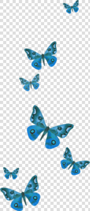 Popular And Trending Butterfly Stickers On Picsart   Picsart Butterfly Stickers  HD Png Download