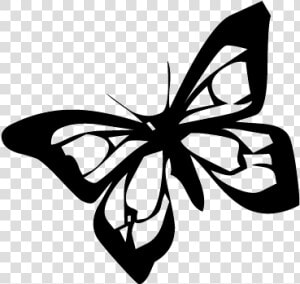 Brush footed Butterfly  HD Png Download