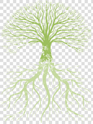 Family Tree Root Tree Of Life   True Knowledge Is Knowing The Extent Of One  39 s Ignorance  HD Png Download