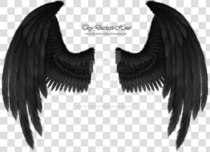 Raven Wings Png   Transparent Black Angel Wings  Png Download