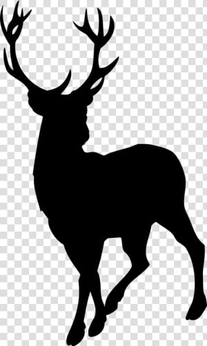 Silhouette Of A Stag  HD Png Download