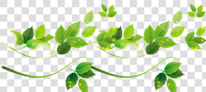 Vine Vector Plant Illustrator   Tree Leaf Vector Png  Transparent Png