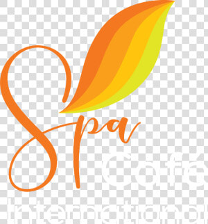 Transparent Spa Png   Logo De Spa Png  Png Download