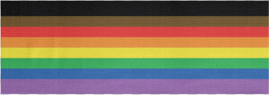 Pride Flag Png   Tints And Shades  Transparent Png