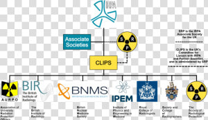 Transparent Radiation Symbol Png   British Institute Of Radiology  Png Download