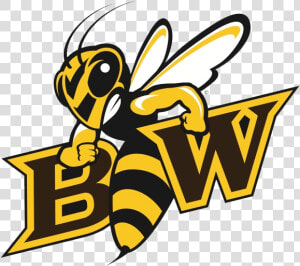 Baldwin Wallace   Baldwin Wallace Yellow Jackets  HD Png Download