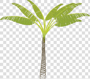 Palm tree Clip Arts   T Shaped Palm Tree  HD Png Download