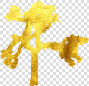 Joshua Tree Png  Transparent Png