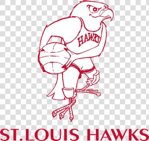 1955 St Louis Hawks Logo  HD Png Download