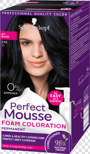 Perfect Mousse Com 210 Icy Black   Perfect Mousse 388 Dunkles Rotbraun  HD Png Download