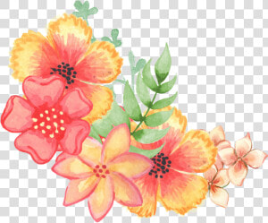 Floral  Decoration  Embellishment  Watercolor  Flowers   Public Domain Watercolor Flowers  HD Png Download