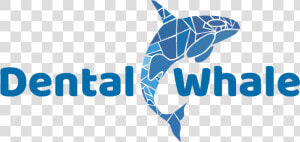 Dental Whale Gives Dentists Multiple Tools To Grow  HD Png Download