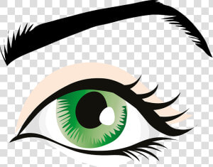 Green Eyes  Eyelid  Iris  Eyebrows  Brows  Seeing  HD Png Download