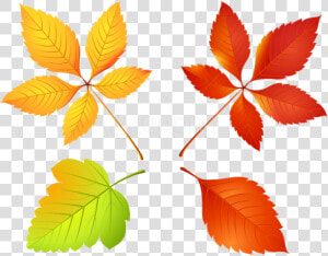 Free Png Download Autumn Leaves Set Clipart Png Photo   Autumn  Transparent Png