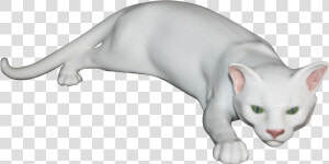 Sphynx  HD Png Download