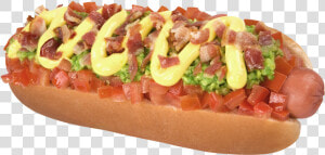 Thumb Image   Hot Dog Gigante Png  Transparent Png