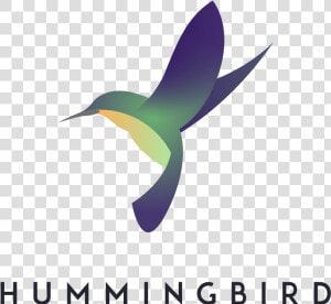 Hummingbird Associates Logo   Ruby throated Hummingbird  HD Png Download