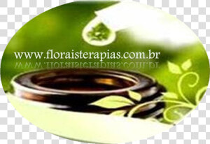 Florais Terapias   Cd  HD Png Download