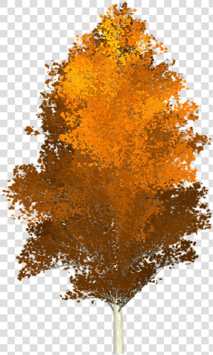 Herbst Baum Png  Transparent Png