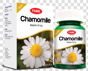 Chamomile Png  Transparent Png