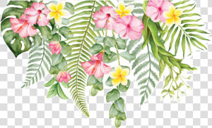 Transparent Tropical Flowers Png   Transparent Background Tropical Flowers Png  Png Download