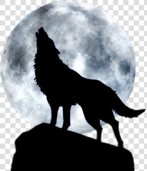 Dog Arctic Wolf Three Wolf Moon T shirt   Wolf Howling At The Moon Png  Transparent Png