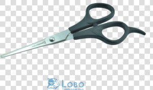 Tijera Estilista Estudiante Acero Inoxidable Negra   Scissors  HD Png Download