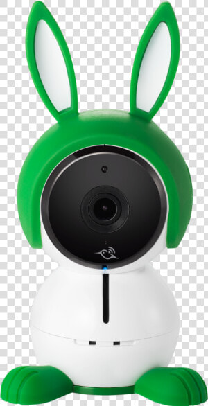 Arlo Baby  HD Png Download