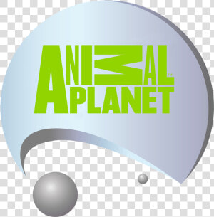 Logo Animal Planet Live  HD Png Download