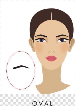 Oval Eyebrow Shape   Illustration  HD Png Download