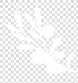 Transparent Olive Branch Png   White Olive Branch Png  Png Download