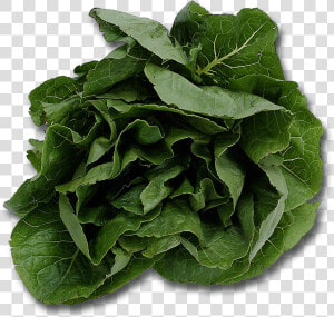 Spinach Png   Name Five Plants That We Eat  Transparent Png