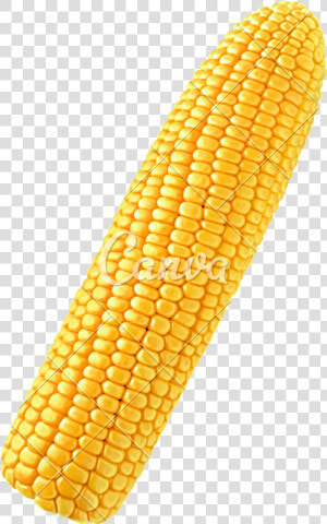 Corn Png Single   Single Corn On The Cob  Transparent Png