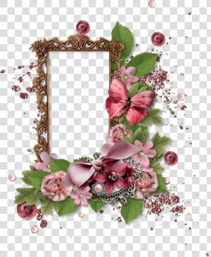 Cadre Rétro Png Vintage Frame Marco Png Rahmen   Vintage Frame Flowers And Butterflies  Transparent Png