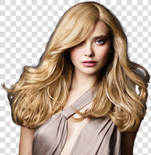 Capelli Salon A Paul   Blonde But Not Stupid  HD Png Download