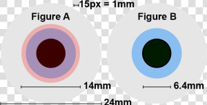 Comparison Of Exit Pupils For Astronomy   Human Eye Diameter  HD Png Download