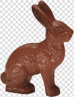 Chocolate Jack Rabbit Large   Domestic Rabbit  HD Png Download