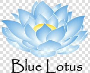 Lotus Clipart Blue Lotus   Blue Lotus Flower Clipart  HD Png Download