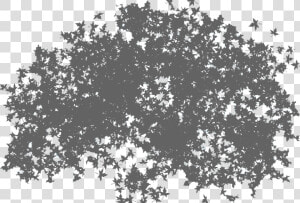 Top Tree Png Available In Different Size   Trees Shadow Png File  Transparent Png