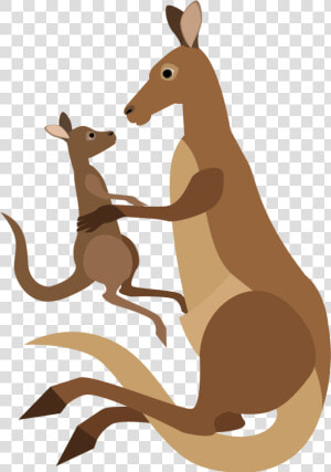 Kangaroo Cartoon Macropodidae   Kangaroo Png Vector  Transparent Png