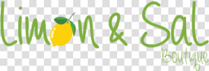 Logo   Limon Y Sal Logo  HD Png Download