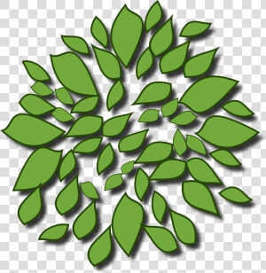 Tree 02   Icon Baum Von Oben  HD Png Download