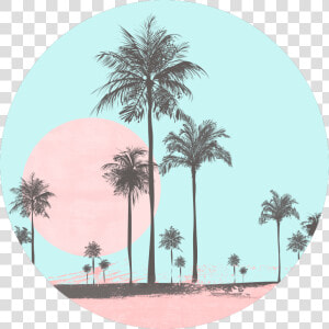 Miami Beach  Miami  Beach  Seaside  Coastal  Palm    Feeds Instagram Blue Pastel  HD Png Download