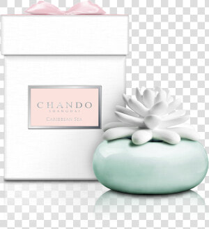 Chando Porcelánový Aroma Difuzér Bílý Mini Kaktus  HD Png Download