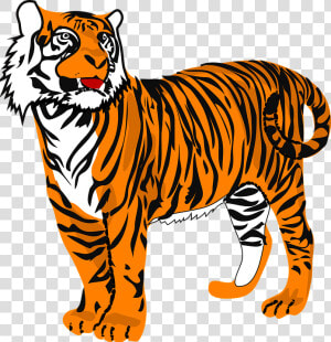 Transparent Katze Clipart   Animated Pictures Of Tiger  HD Png Download